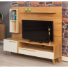 Support Tv Alizé / Européenne