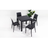 Ensemble de Table en Rotin + 4 Chaise