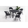 Ensemble de Table en Rotin + 4 Chaise II