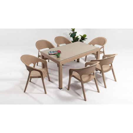 Table en Rotin + Verre Jardin + 6 Chaise