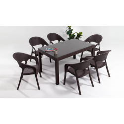 Table en Rotin + Verre Jardin + 6 Chaise