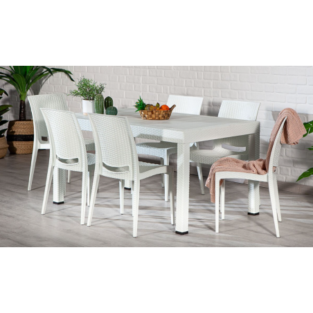 Table en Rotin + 6 Chaise