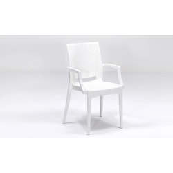 Chaise en Rotin Multi Couleur