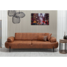 Celosia-Vista-Teddy-Valentino II-Lin