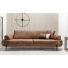 Celosia-Vista-Teddy-Valentino II-Lin